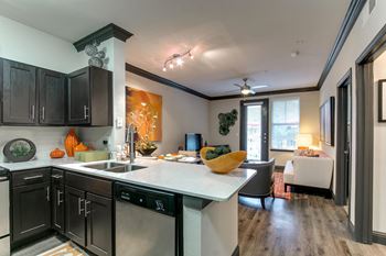 Stainless sinks and goose-neck faucets in kitchen